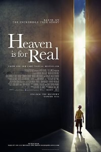 Download Heaven Is for Real (2014) Dual Audio (Hindi-English) 480p [300MB] || 720p [800MB] || 1080p [2GB]