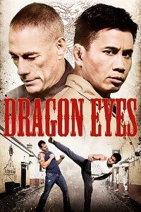 Download Dragon Eyes (2012) Dual Audio {Hindi-English} 480p [270MB] || 720p [965MB] || 1080p [1.57GB]