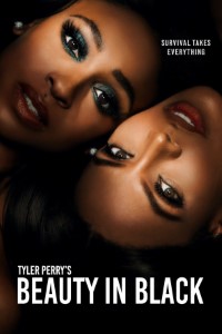 Download Beauty in Black (Season 1-3) Dual Audio {Hindi-English} WeB-DL 480p [160MB] || 720p [280MB] || 1080p [940MB]