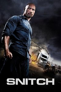 Download Snitch (2013) Dual Audio {Hindi-English} Esubs BluRay 480p [423MB] || 720p [1.0GB] || 1080p [2.3GB]