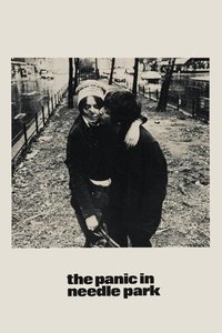Download The Panic in Needle Park (1971) {English With Subtitles} BluRay 480p [325MB] || 720p [885MB] || 1080p [2GB]