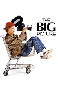 Download The Big Picture (1989) Dual Audio (English-Hindi) Esubs BluRay 480p [335MB] || 720p [915MB] || 1080p [2.1GB]