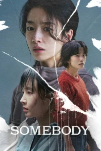 Download Somebody (2025) Dual Audio (Hindi-Korean) Esubs WEB-DL 480p [365MB] || 720p [1GB] || 1080p [2.3GB]